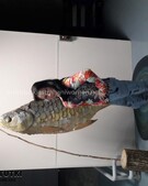 Анкета проститутки Мария - метро Тверской, возраст - 27