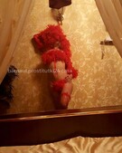 Анкета проститутки Олеся - метро Бибирево, возраст - 27